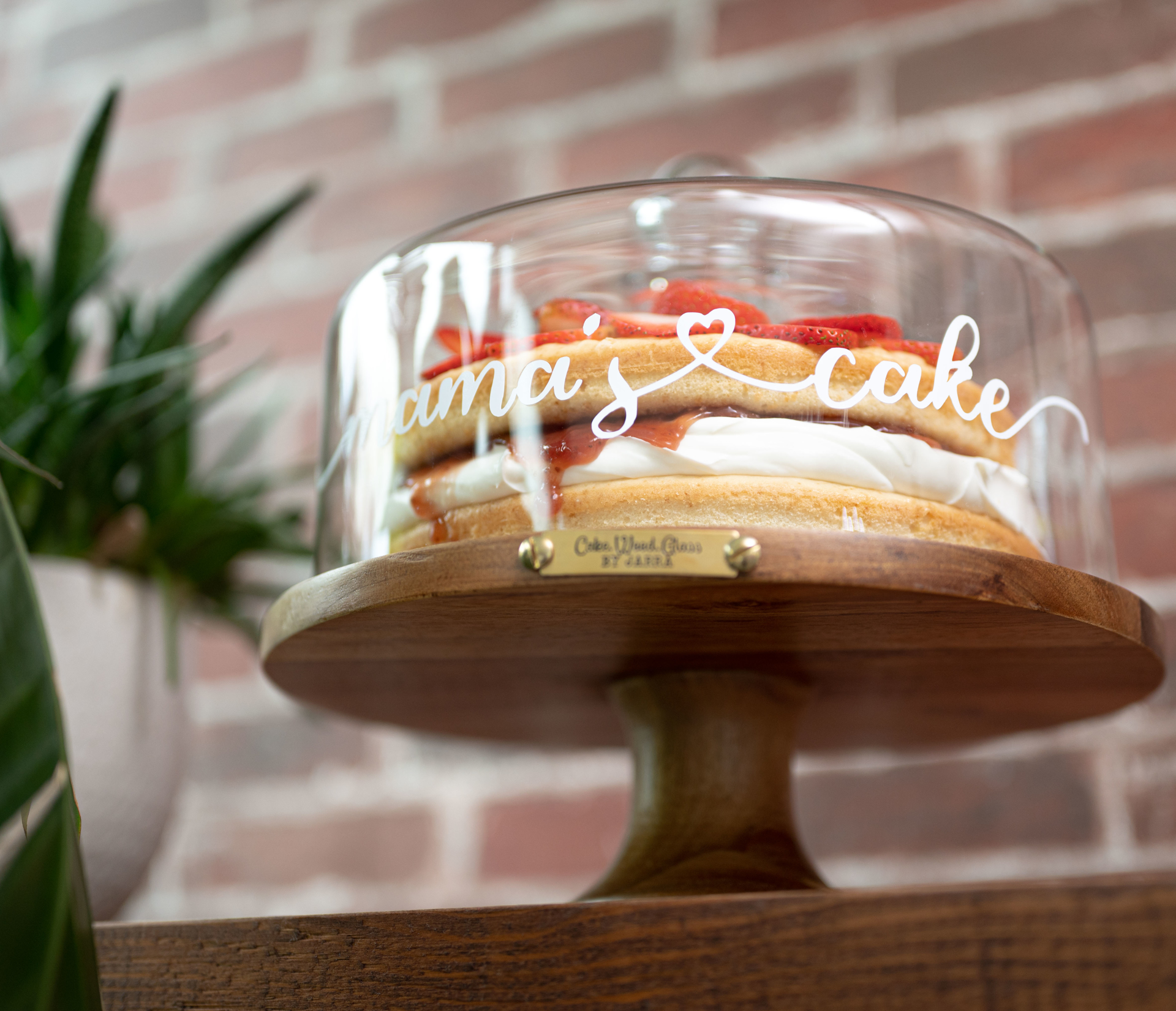 Jarra. Cake Stand Amazon Acacia wood with glass dome