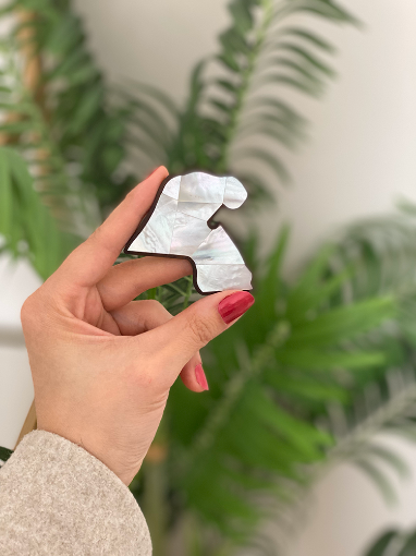 صورة  The Flag Map  -خريطة العلم 